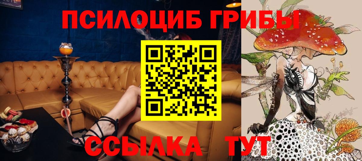 Псилоцибиновые грибы ЛСД Донской